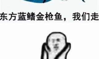 象拔蚌是什么梗 象拔蚌是什么梗