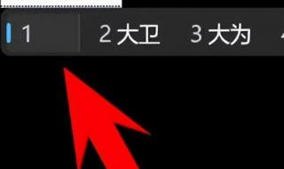 输入法出现问题 输入法出现问题