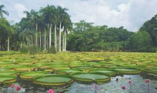 西双版纳傣族自治州 西双版纳傣族自治州