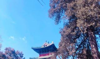 郑州周边自驾游 郑州周边自驾游