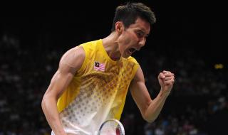 林丹陶菲克 林丹陶菲克