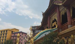 昆明到西双版纳汽车 昆明到西双版纳汽车