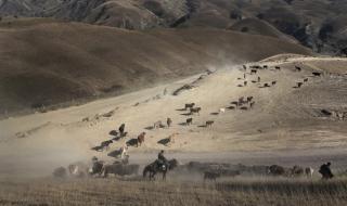 新疆伊犁自治州 新疆伊犁自治州