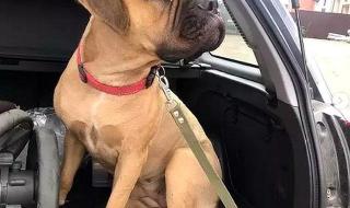 勇敢的狂奔 勇敢的狂奔