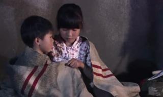 樱桃红燕子 樱桃红燕子