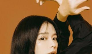 王力宏前妻 王力宏前妻