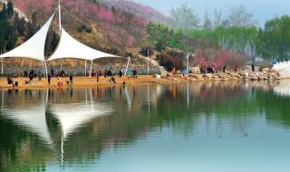 濮阳市地图 濮阳市地图