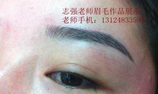 秀眉多少钱 秀眉多少钱