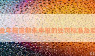 企业年度报告公示制度 企业年度报告公示制度