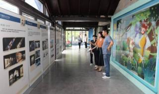 永久与久远 永久与久远