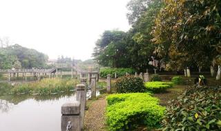 山清水秀风光好 山清水秀风光好