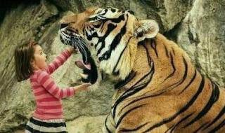 泰坦巨蟒能吞大象吗