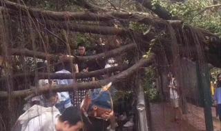 台风的名字怎么来的 台风的名字怎么来的