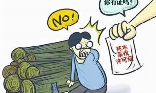 新土地法实施时间