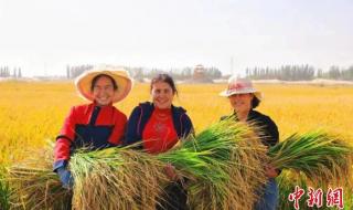 喀什离乌鲁木齐多远 喀什离乌鲁木齐多远