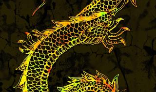 中华神龙正版价格