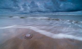 每周至少给孩子一次 每周至少给孩子一次