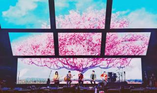 五月天20周年 五月天20周年