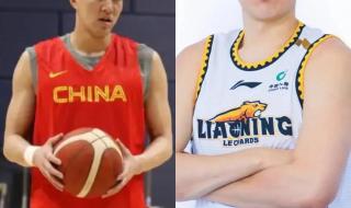 辽宁队主教练杨鸣 辽宁队主教练杨鸣