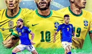 世界杯巴西战绩表